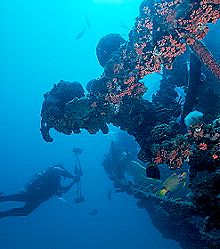 Dive Packages at Red Sail Sports Aruba