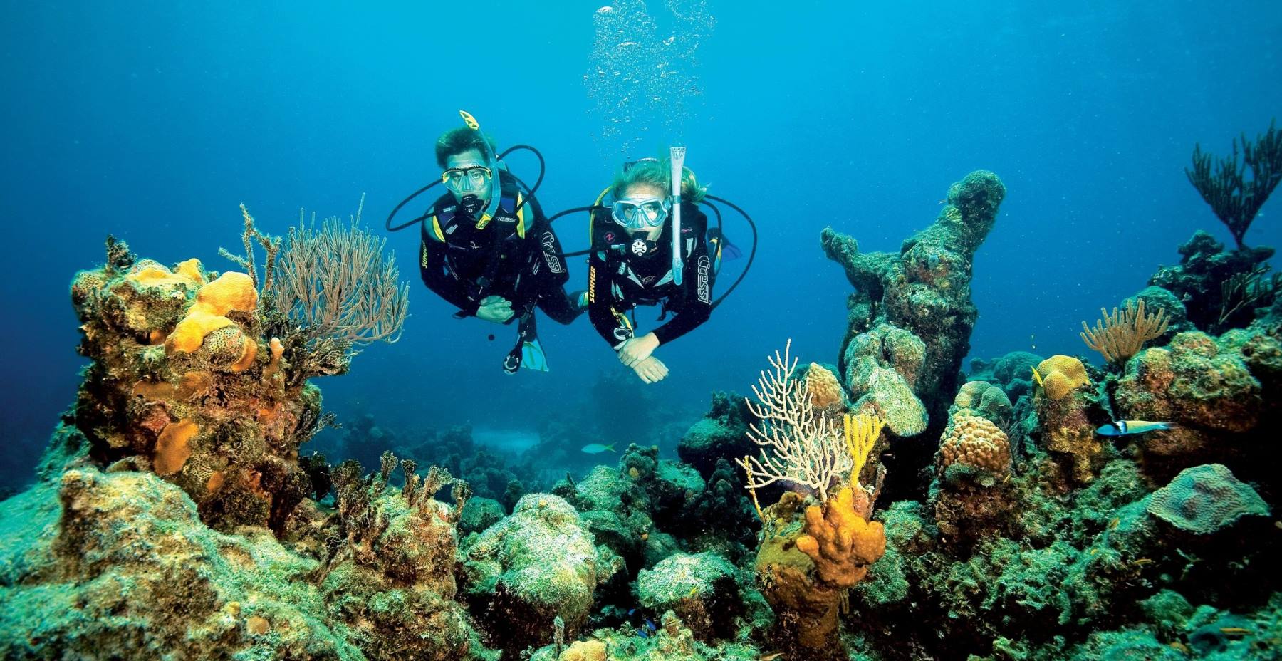 About us: Scuba Diving