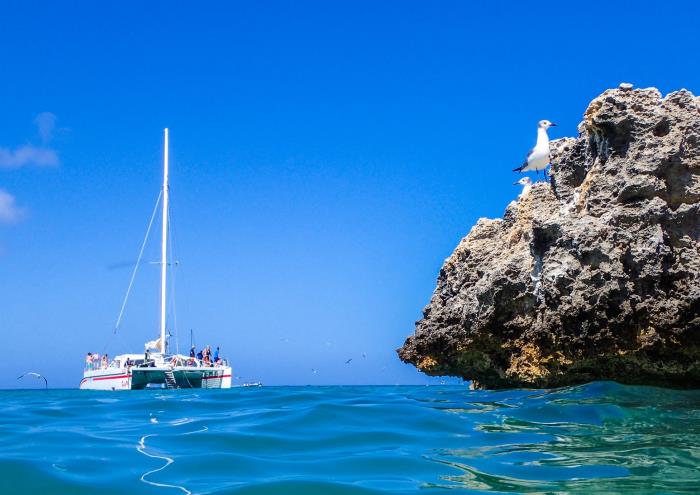 Red Sail Sports Aruba: Sailing, Snorkeling, Scuba Dive, Watersports and Land Act